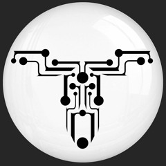 TRANSUBTIL RECORDS presented by Shred’er - interview | In Focus | 08/06/2019