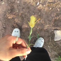 pretty person (prod. Zeeky Beats)