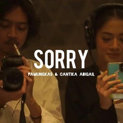 Pamungkas - Sorry Ft. Cantika Abigail