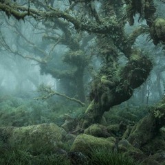 Psychedelic Way Free Party In Wales Promo Mix Bruno Vibetech