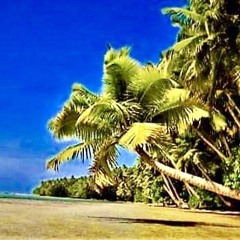 Nobody can stop reggae cover-by kaytwo