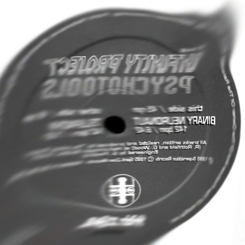 The Infinity Project - Binary Neuronaut (Trentemoult SLOMO retouche)