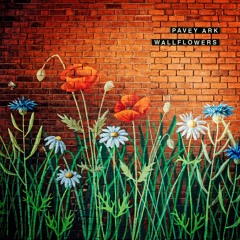 Wallflowers (Radio Edit)