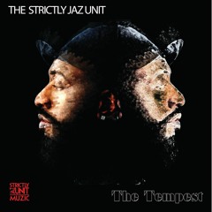 PREMIERE: The Strictly Jaz Unit - Tempestuous [SJU Muzic]