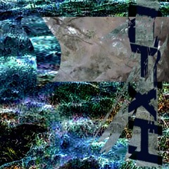 concrete fantasies & hydrarchy - MUCK