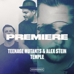 Premiere: Teenage Mutants & Alex Stein - Temple [Stil Vor Talent]