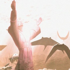 S A X  1 U P   水中遺跡