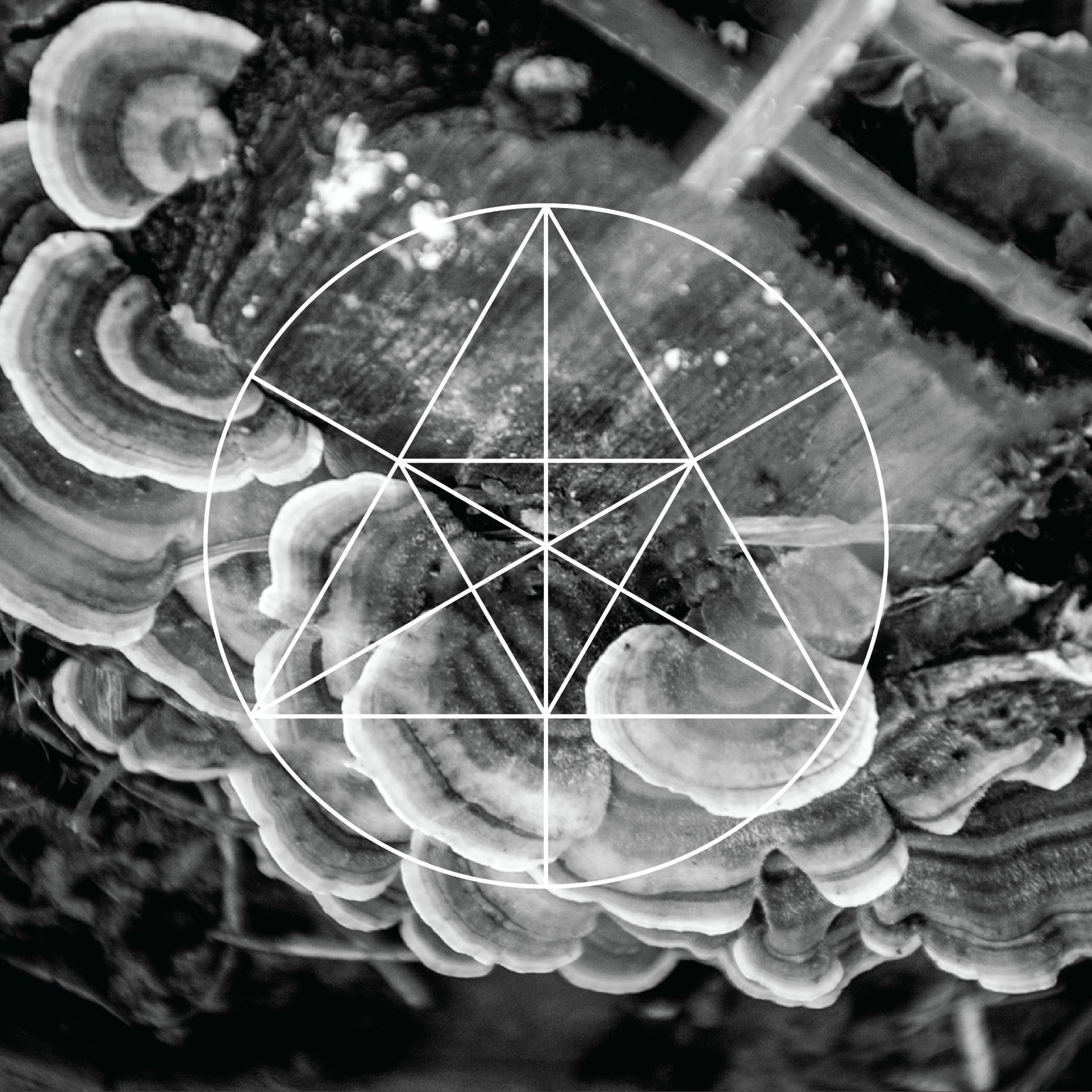 Mysteries of the Deep