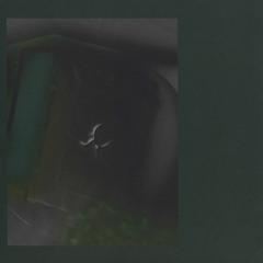 Premiere: Bear Bones, Lay Low - Voces De Humo [OK SPIRIT]