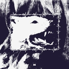 SMPAI - Glitch Priority - [BS05]