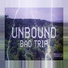 Bad Trip