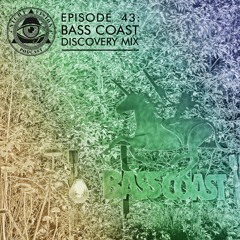Night Vision Podcast Episode 43: Bass Coast Discovery Mix