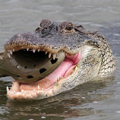 ☆NEW TREND☆ prod. beatsbyneco