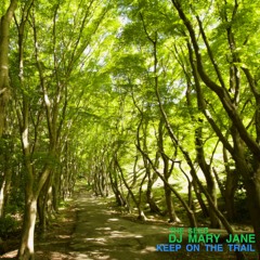 DJ Mary Jane - Keep on the Trail (Original Mix)