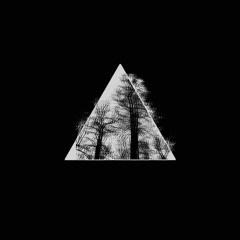Trippple Pxrn - Fucking Phrxse Part 2
