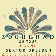 Nil Son @ Sektor Evolution Dresden (3000Grad on Tour, 08.06.2019)