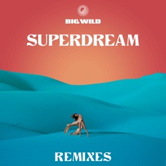 Big Wild – Purple Sand (My Home)[pluko Remix]