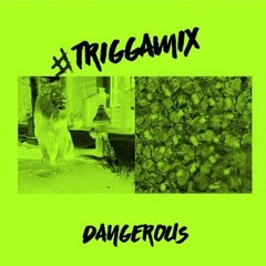 Trey Songz - Dangerous (Remix)