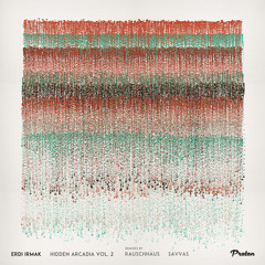 PREMIERE: Erdi Irmak - Owl (Rauschhaus Remix) [Proton Music]