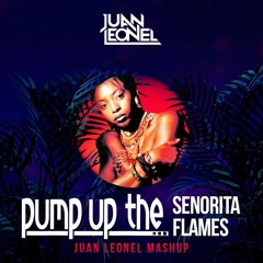 Technotronic, D. Cartier, Sia, T. Anthony - Pump Up The Senorita Flames (Juan Leonel Mashup) FREE DL