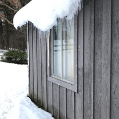 Winter Skies