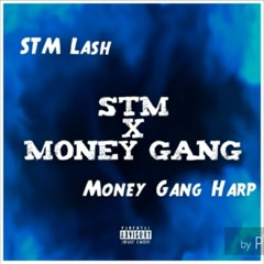STM LASH X MONEY GANG HARP 2019