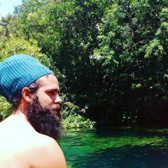 IN TO THE JUNGLE