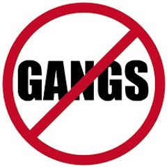 No gang(prod by Lytton Scott)
