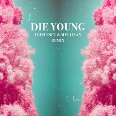 Sylvan Esso - Die Young (tripleset X Mellisan remix)