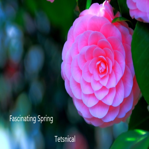 Fascinating Spring