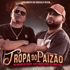 MC ANDREZINHO DO COMPLEXO E MENOR DO CHAPA - TROPA DO PAIZÃO