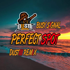 Busy Signal - Perfect Spot (Dustii Remix)
