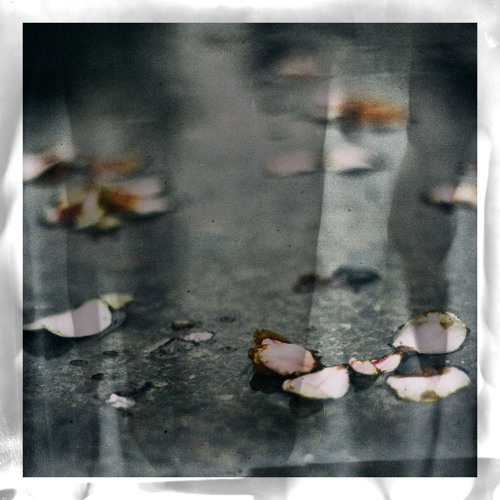 새벽비(曉雨)