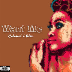 Want Me (fugees-ready or not cover)X Colosoul (prod by Colosoul)