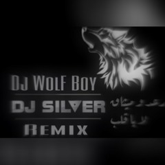 رعد وميثاق السامرائي - لا يا قلب [ DJ WolF Boy & Dj Silver ]