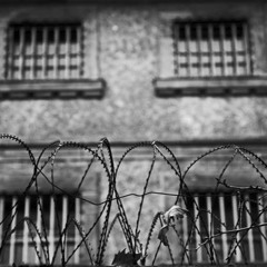 Knastbrudergeschichten