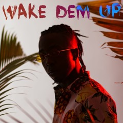 Wake Dem Up (prod. Alter.)