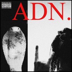 IAN - ADN (Official Audio)