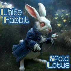White Rabbit