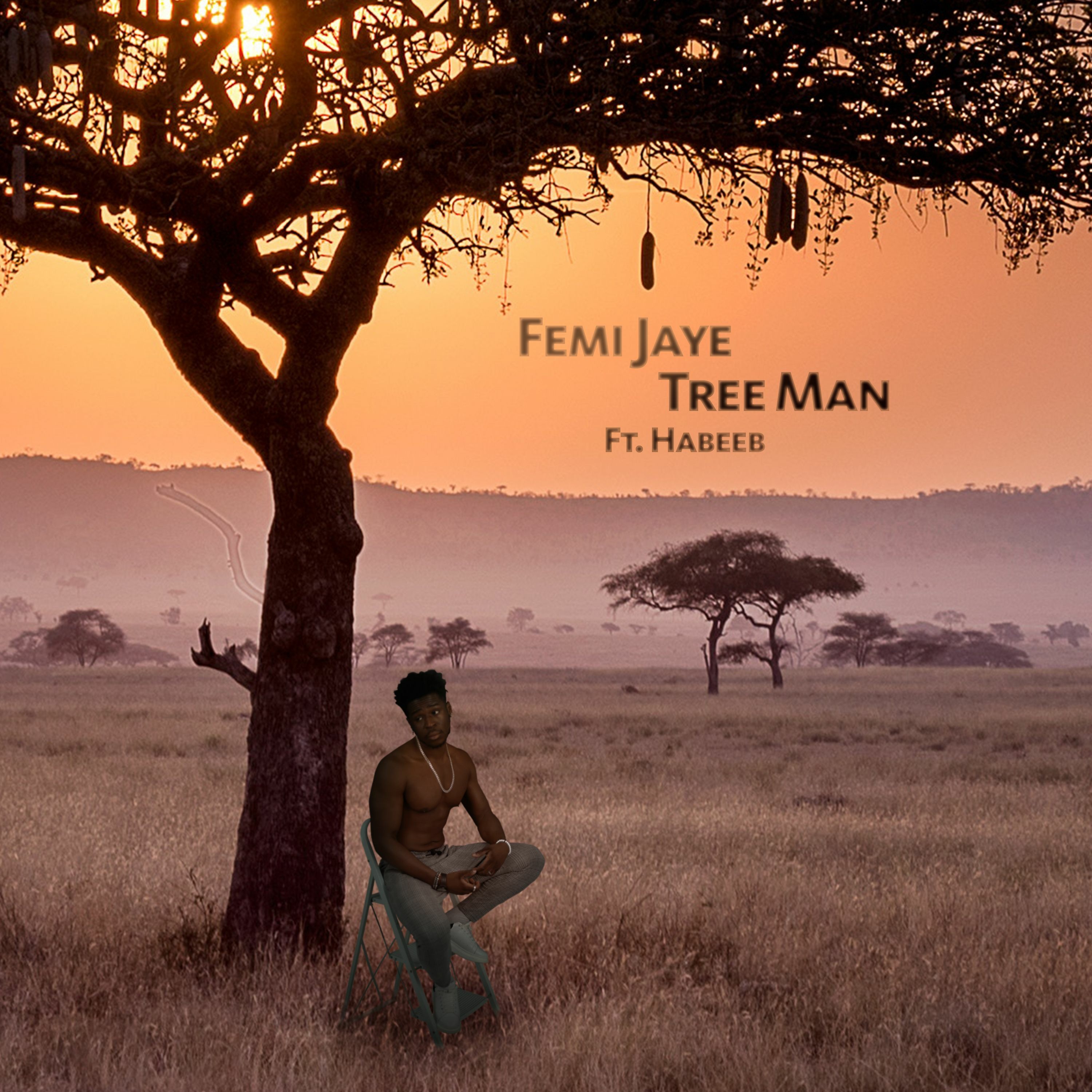 Femi Jaye Music