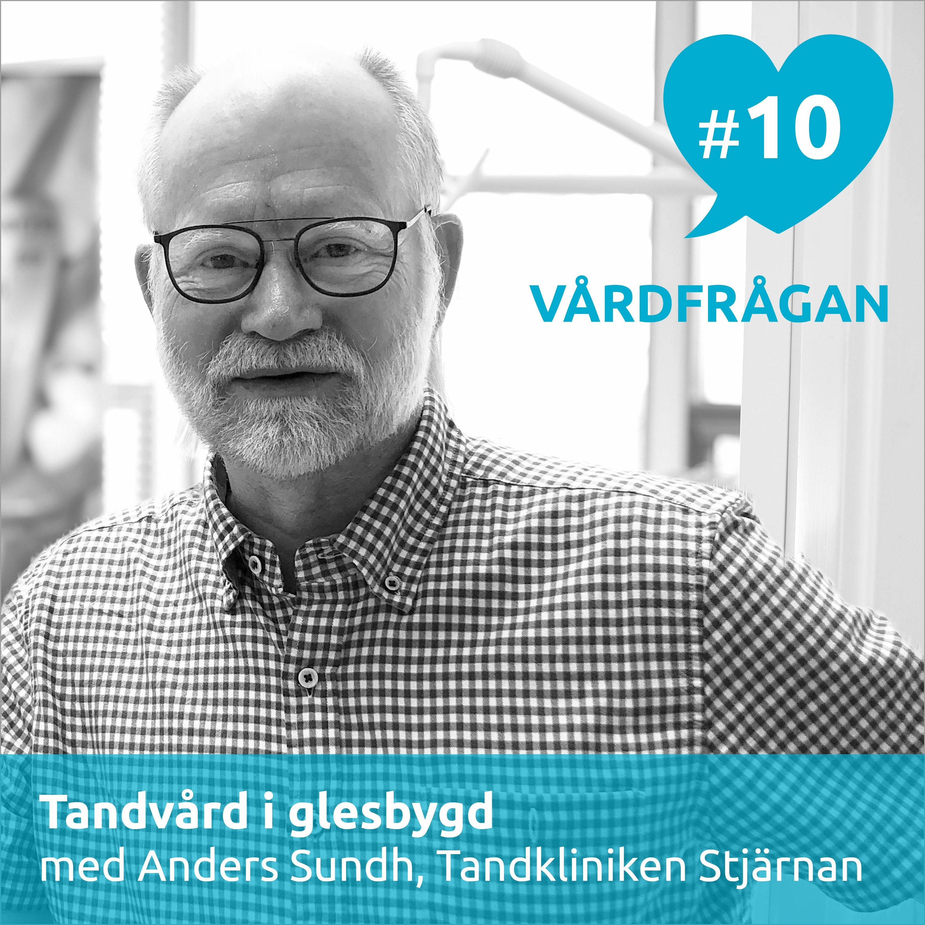 Vårdfrågan