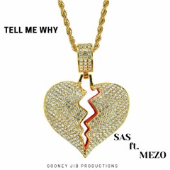 Tell Me Why(ft. MEZO)