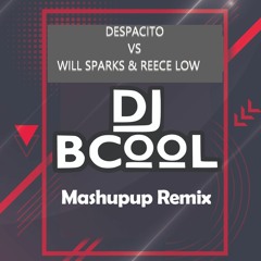 Despacito Catch Bouce That Ass - Bieber vs Will Sparks vs Reece Low (Dj Bcool Mashup Remix)