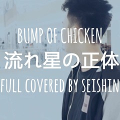 BUMP OF CHICKEN 流れ星の正体 アコギアレンジで歌ってみた covered by Seishin
