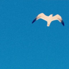 보통 사람 Ordinary People (iPhone Demo)