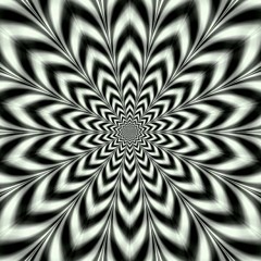 Dashocca - Guh dung deh