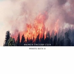 D2 Broken English Club - Wildlife