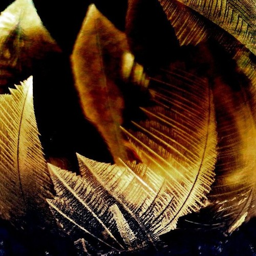 Collusions in the Big Freeze (Collab with Kaerian-1)