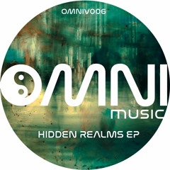 OUT NOW: LIMITED EDITION 12": VARIOUS ARTISTS - HIDDEN REALMS EP (OmniV006)