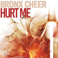 THD249 : Bronx Cheer - Hurt Me (Scott Diaz Remix)